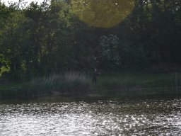 Competities HSV Alfheim